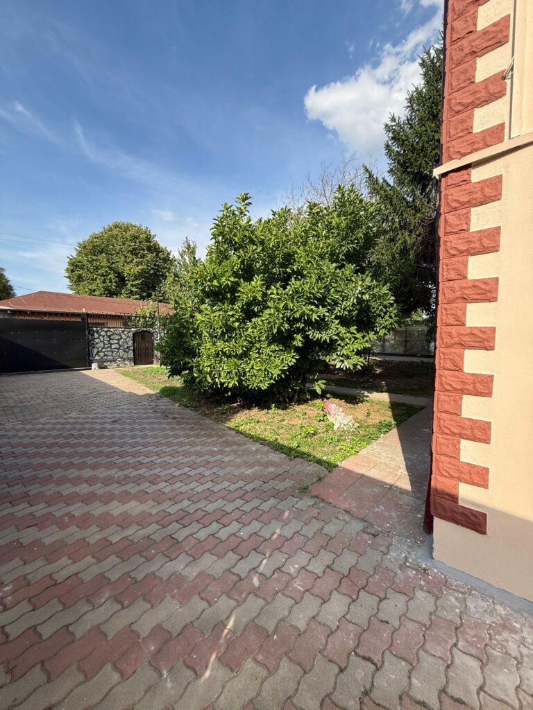 Alee de acces Centrul Silenzia Alee pavată de acces către Centrul de Îngrijire Silenzia